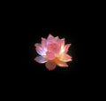 Quantum Leap Ritual